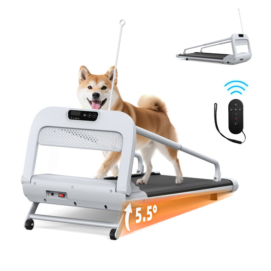 SmartFold Pet Treadmill: Quiet & Powerful Indoor Exercise for Small & Medium Dogs