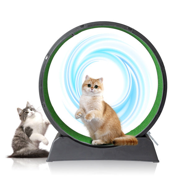 Black PP Cat Treadmill – 10kg Silent Running Exercise Wheel with Green Carpet & Safety Lock for Indoor Cats